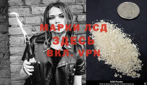 ПСИЛОЦИБИНОВЫЕ ГРИБЫ Кулебаки