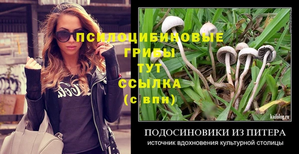 ГАЛЛЮЦИНОГЕННЫЕ ГРИБЫ Ладушкин