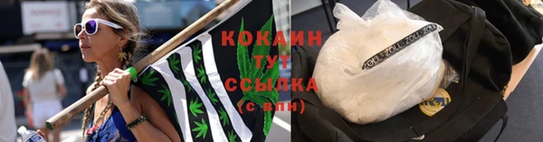 ГАЛЛЮЦИНОГЕННЫЕ ГРИБЫ Ладушкин