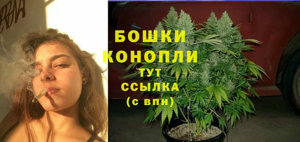 прущие грибы Кукмор