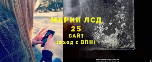 прущие грибы Кукмор