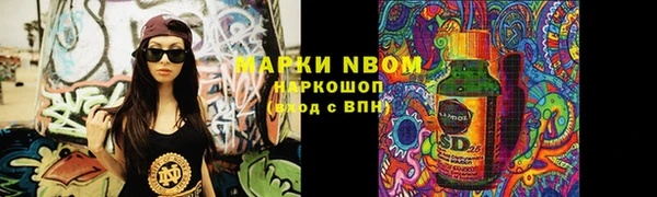 прущие грибы Кукмор