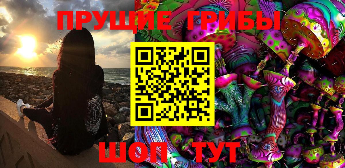 Урай  Галлюциногенные грибы Psilocybine cubensis  Вход с VPN 